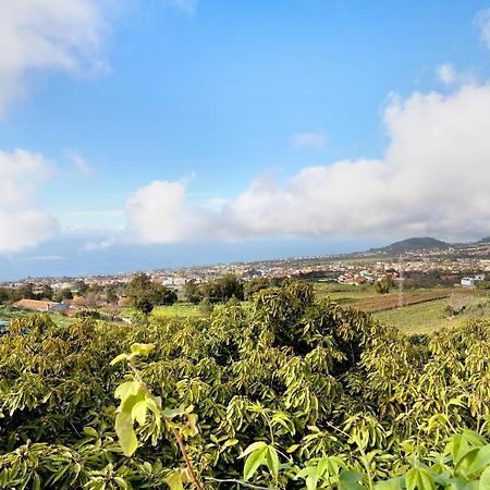 Casa Andrea Villa Tacoronte Eksteriør billede